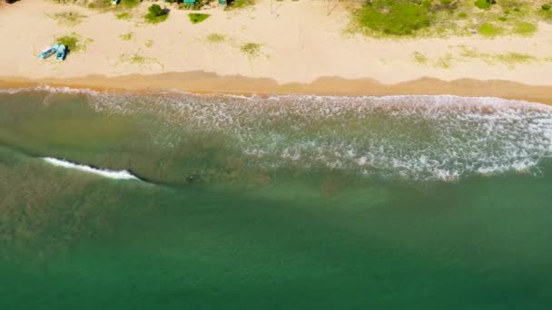 Plage de sable tropical et mer bleue. Sri Lanka. — Video
