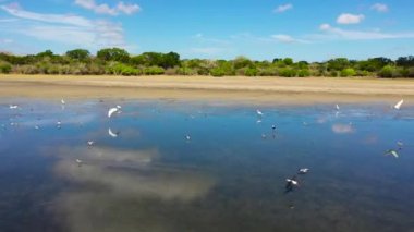 Göl manzaralı tropik bir yer. Sri Lanka.