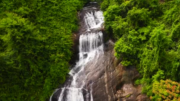 Waterval in het regenwoud uitzicht van boven. — Stockvideo