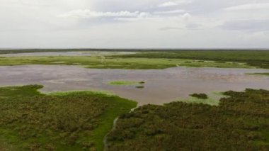 Sri Lanka 'nın bataklıkları ve gölleri.