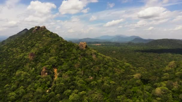 Montañas y colinas con bosque. Sri Lanka. — Vídeos de Stock