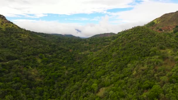 Горы с тропическими лесами и облаками. Шри-Ланка. — стоковое видео
