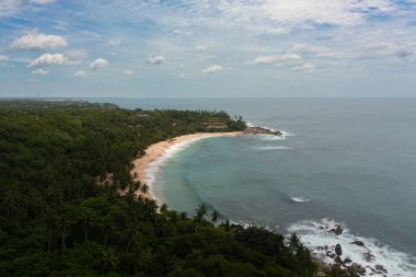 Aerial view of sandy beach with palm trees and ocean surf with waves. Sri Lanka.