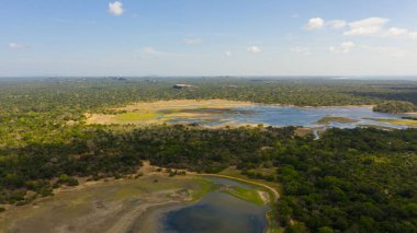 Aerial view of Lakes among the rainforest in the Kumana National Park. Sri Lanka. Tropical landscape.