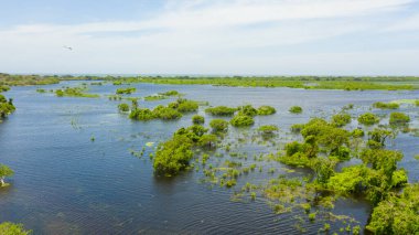 Aerial view of lake in the Kumana National Park, which is home to wild animals and birds. Sri Lanka.
