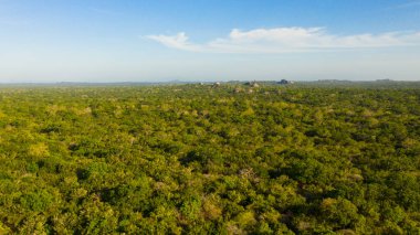 Tropical landscape: Rocks among green jungle and tropical trees in kumana national park. Sri Lanka.