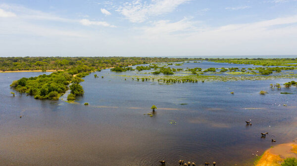 Wetlands in the Kumana National Park, which is home to wild animals and birds. Sri Lanka.