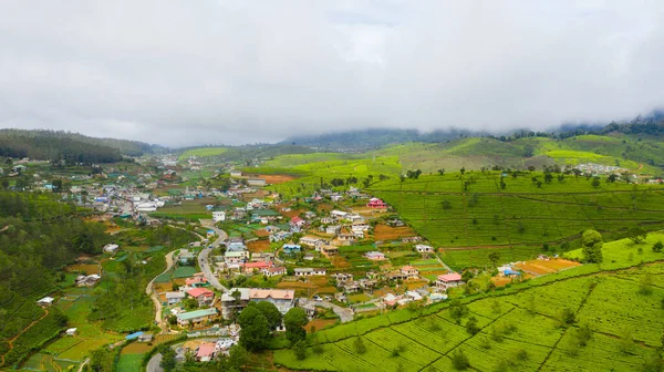 Aerial drone of Green tea plantation. Nuwara Eliya, Sri Lanka. Tea estate landscape.