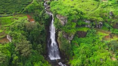 Aerial view of Waterfall among tea plantations. Ramboda Falls, Sri Lanka.