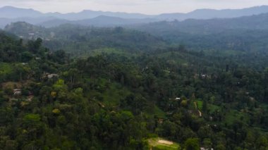 Yağmur ormanlarıyla kaplı dağ yamaçları ve tarım arazileri olan bir dağ vadisi. Sri Lanka.