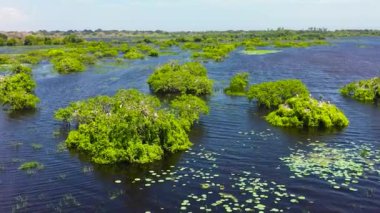 Aerial view of Bird nests among the lake in the reserve. Kumana National Park. Sri Lanka.