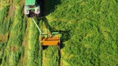 Traktör, çim biçme makinesi kullanarak yeşil çim biçiyor. Disk biçme makinesi saman biçiyor..