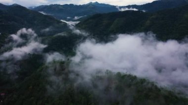 Aerial drone of fog and clouds cover the slopes of mountains with jungle.