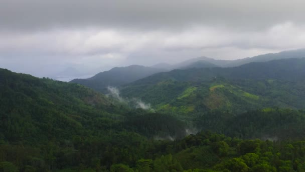 Ζούγκλα Και Βουνά Στη Σρι Λάνκα Ορεινές Πλαγιές Τροπική Βλάστηση — Αρχείο Βίντεο