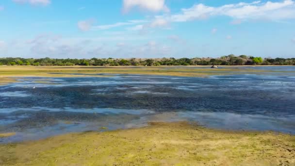 Aerial View Lake Kumana National Park Which Home Wild Animals — Video Stock