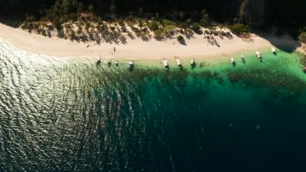 เกาะว วทางอากาศท หาดทรายเขตร อนและต นปาล เกาะมาลากอน ปาลาวาน องเท ยวบนชายฝ งเกาะเขตร — วีดีโอสต็อก