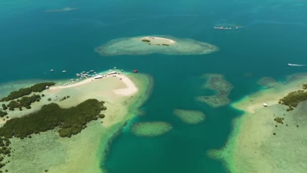 入り江のサンゴ礁と青い海の間にビーチやマングローブを持つ熱帯の島々 空中ビュー マングローブの風景 ホンダ湾 パラワン フィリピン — ストック動画