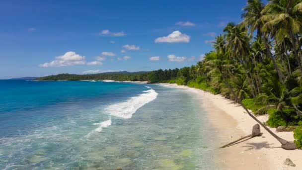 Bella Spiaggia Palme Vista Mare Turchese Dall Alto Filippine Mindanao — Video Stock