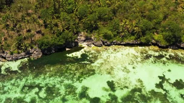 Pantai Tropis Dengan Laut Dan Telapak Tangan Pantai Yang Indah — Stok Video
