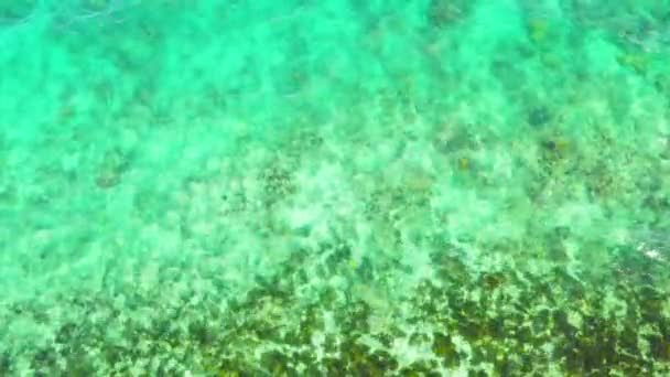 Meereslandschaft Aus Der Luft Mit Korallenriff Klarem Blauem Wasser Wellen — Stockvideo