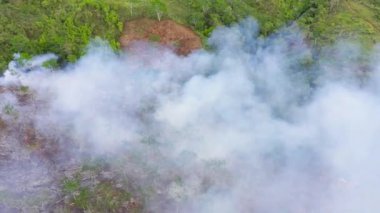 Dağlarda orman yangını. Yangını doğal habitatı yok etmek ve Asya 'da büyük ölçekli çevresel hasara neden olmak. Mindanao, Filipinler