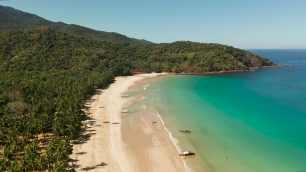 Acima Vista Praia Arenosa Tropical Água Azul Nagtabon Palawan Filipinas — Vídeo de Stock