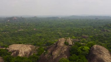 Top view of green forest with tropical vegetation and rock formations. National Park.Sri Lanka.