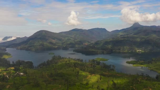 Aerial Drone Lake Tea Estate Mountains Tea Plantations Sri Pada — Video Stock