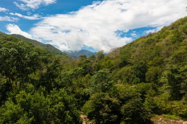 Mountains with green forest on the background of blue sky and clouds. Sri Lanka.