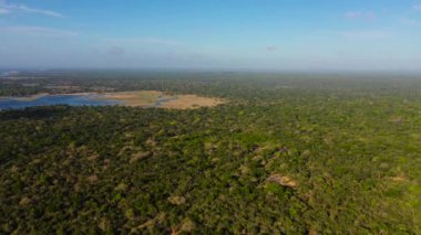Aerial view of the lake and the rainforest against the blue sky. Kumana national park. Tropical landscape.