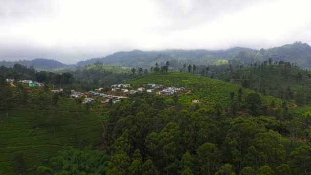 Деревня Среди Чайных Плантаций Чайная Усадьба Шри Ланки — стоковое видео