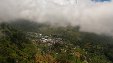 A town among tea plantations in the mountains. Tea estate through the clouds. Sri Lanka.