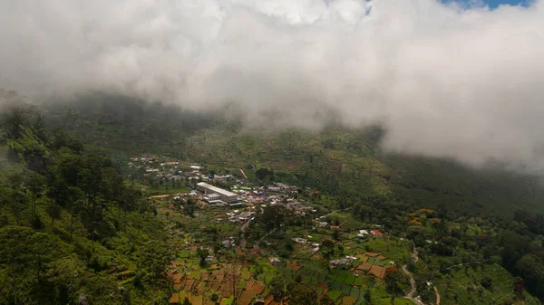 A town among tea plantations in the mountains. Tea estate through the clouds. Sri Lanka.