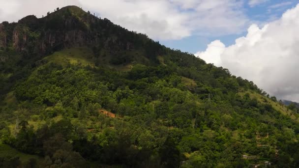 Berg Med Regnskog Och Djungel Den Bergiga Provinsen Sri Lanka — Stockvideo