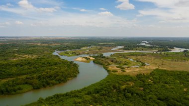 Tropik manzara: Sri Lanka 'da ormanlar ve ormanlar arasında bir nehir.