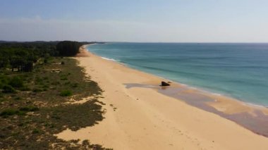 Aerial drone of Seascape with tropical sandy beach and blue ocean. Sri Lanka.