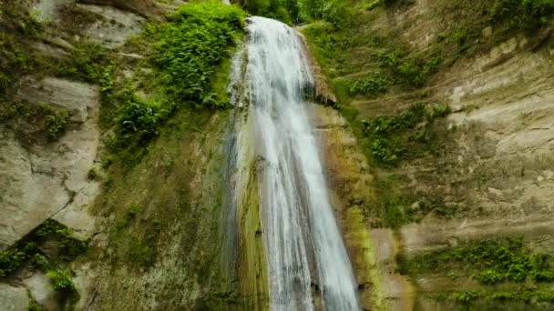 Dao Wasserfälle Einer Gebirgsschlucht Tropischen Dschungel Philippinen Cebu Wasserfall Tropischen — Stockvideo