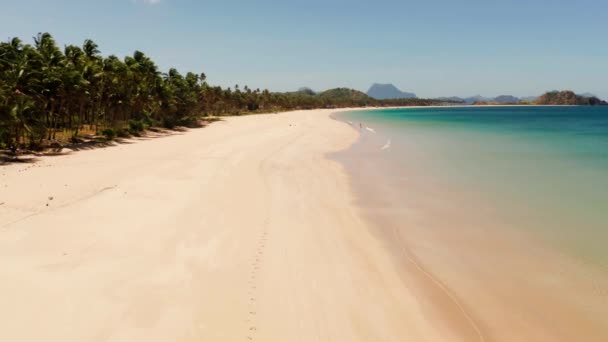 砂浜と青い水と海景の空中ドローン ヤシの木と海景 ナッパン エルニド パラワン フィリピン夏と旅行の概念 — ストック動画