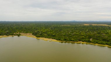 A lake among the rainforest and jungle. Panama Wewa lake in Sri Lanka. Arugam bay.