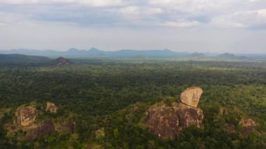 Jungle and rainforest surrounded by mountains in national park. Sri Lanka.