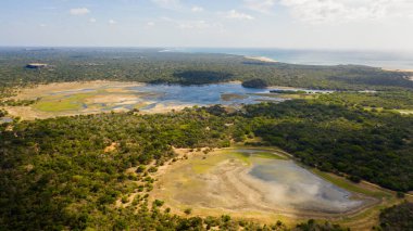 Top view of lake and wetlands in Kumana National Park. Sri Lanka.
