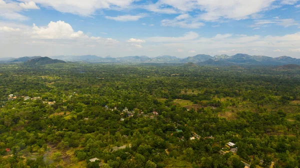 Rural landscape: A valley with agricultural land surrounded by forest and jungle. Sri Lanka.