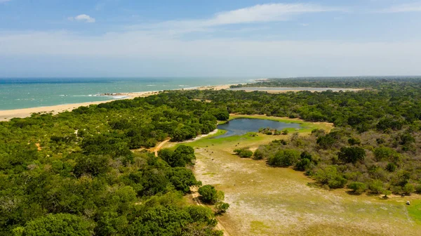 Top view of Lakes among jungles and wetlands near the ocean. Kumana National Park, Sri Lanka. Tropical landscape.