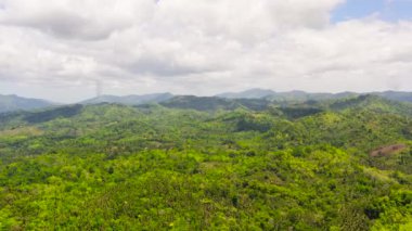 Dağlar ve tepeler tropik ormanlarla kaplı. Tropik manzara, Mindanao, Filipinler.