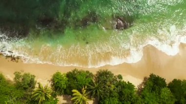 Aerial drone of Seascape with tropical sandy beach and blue ocean. Hiriketiya, Sri Lanka.