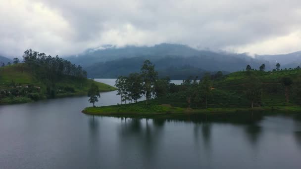 Top View Tea Plantation Maskeliya Lake Maussakelle Reservior Sri Lanka — Video Stock