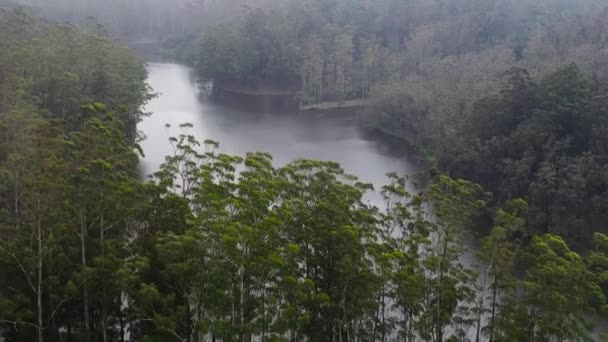 山岳地帯の森の中の霧の中で湖のトップビュー Ambewea ヌワラ エリヤ スリランカ — ストック動画