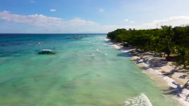 Bela Praia Areia Água Azul Turquesa Ilha Panglao Bohol Filipinas — Vídeo de Stock
