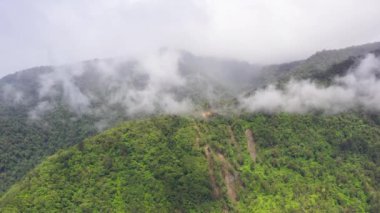 Filipinler 'in Mindanao adasında yemyeşil yağmur ormanları ve bulutları olan dağlar. Ormanın havadan görünüşü.