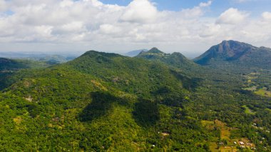 Mountains covered rainforest, trees and blue sky with clouds. Sri Lanka.